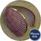 8317 - Polished Shell Purse - Coloured Scallop